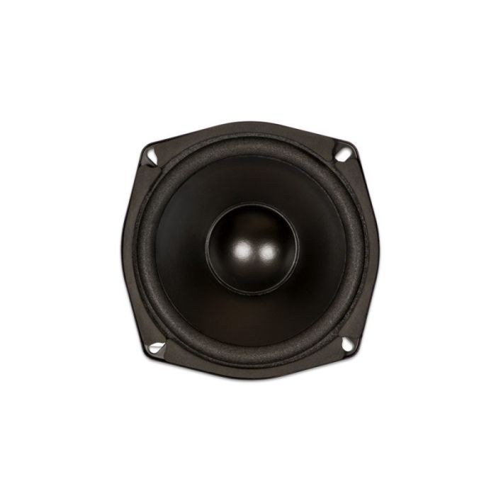 Goldwood GW-205/S: 5.25 inch Shielded Woofer