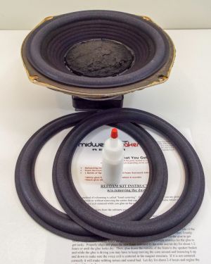 Advent 9 inch Refoam Kit (F9-1)