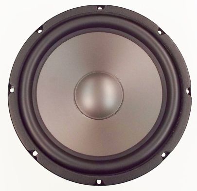 MW Audio MW-5010: 10 inch Woofer-1022