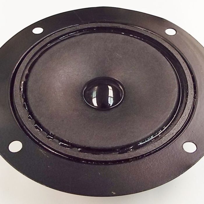 Goldwood GT-25: 4 inch Cone Tweeter
