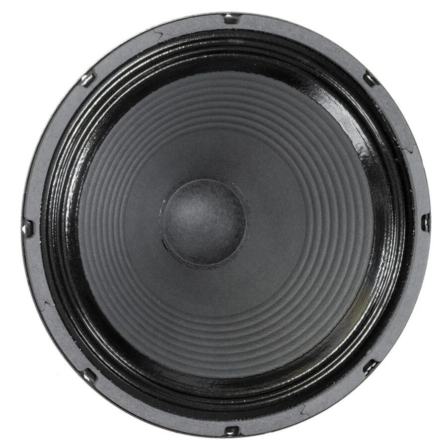 16 inch speaker