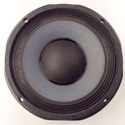 Eminence Legend CA10:  10 inch Bass Guitar Speaker