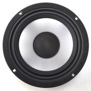 Close-up of a round speaker driver (woofer) with a silver cone and black surround for audio output