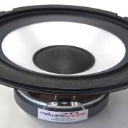 Round speaker driver with a white cone and black surround on a white background
