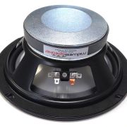 Large round black speaker/woofer with a metal magnet housing and two binding posts on the back panel